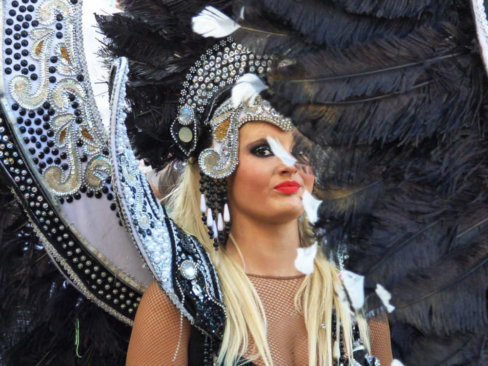 P1000984b