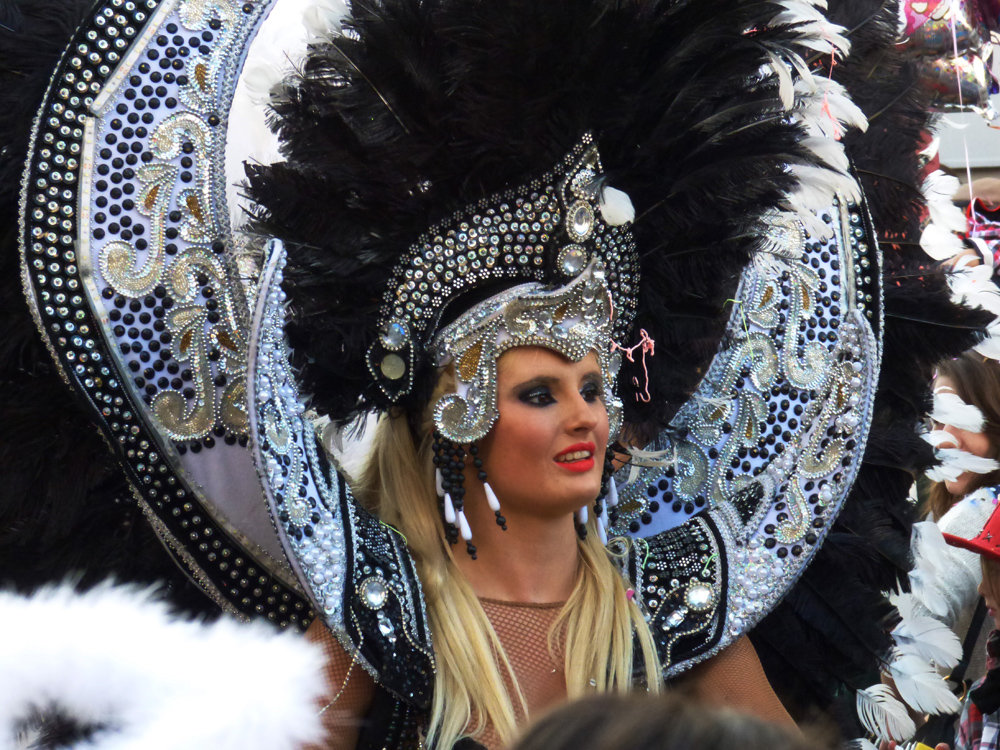 P1000986b