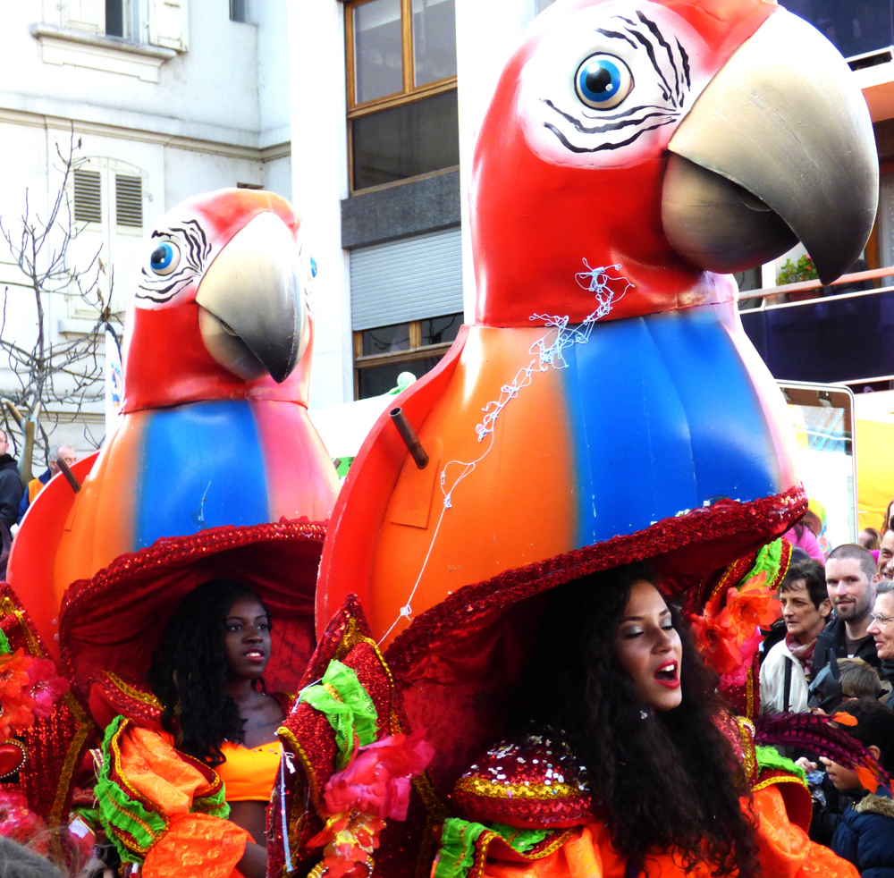 P1000990b