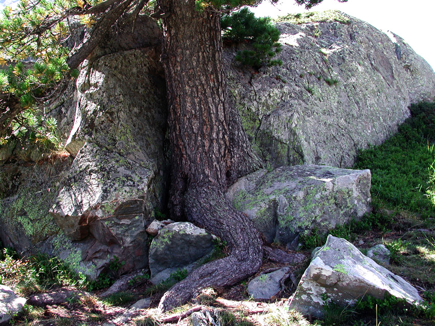DSCN1685b