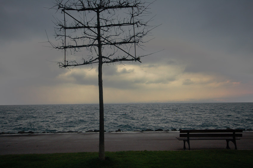 DSC_6672b